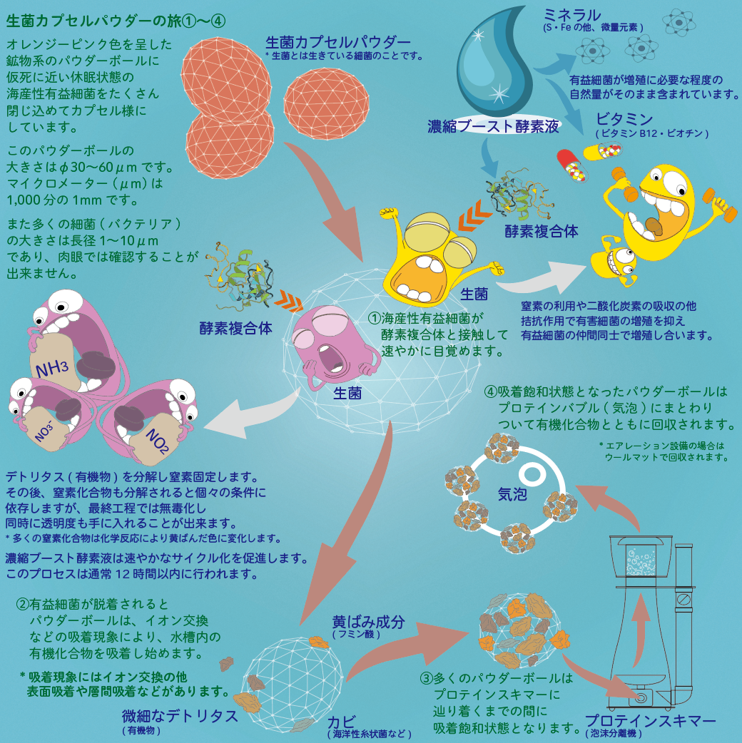 新しいDR.REEF「up-CS1 水質改善剤」海水専用 for 10t